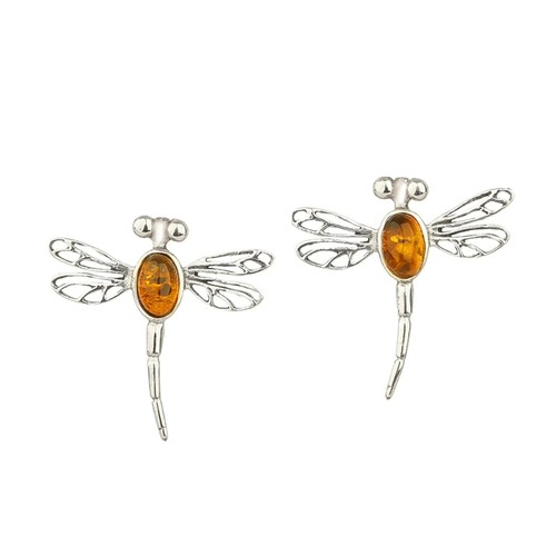 Dragonfly amber - in,
